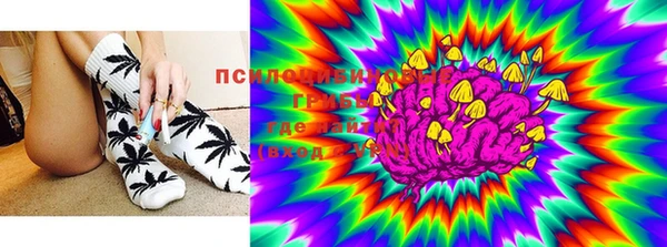 ПСИЛОЦИБИНОВЫЕ ГРИБЫ Абдулино