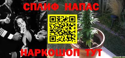 молекула духа Ливны