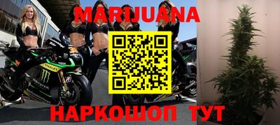 индика Лесосибирск
