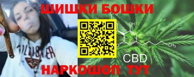 индика Лесосибирск