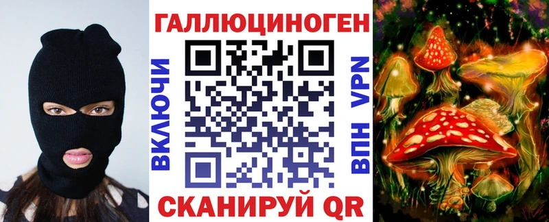 Псилоцибиновые грибы Cubensis  Клинцы 