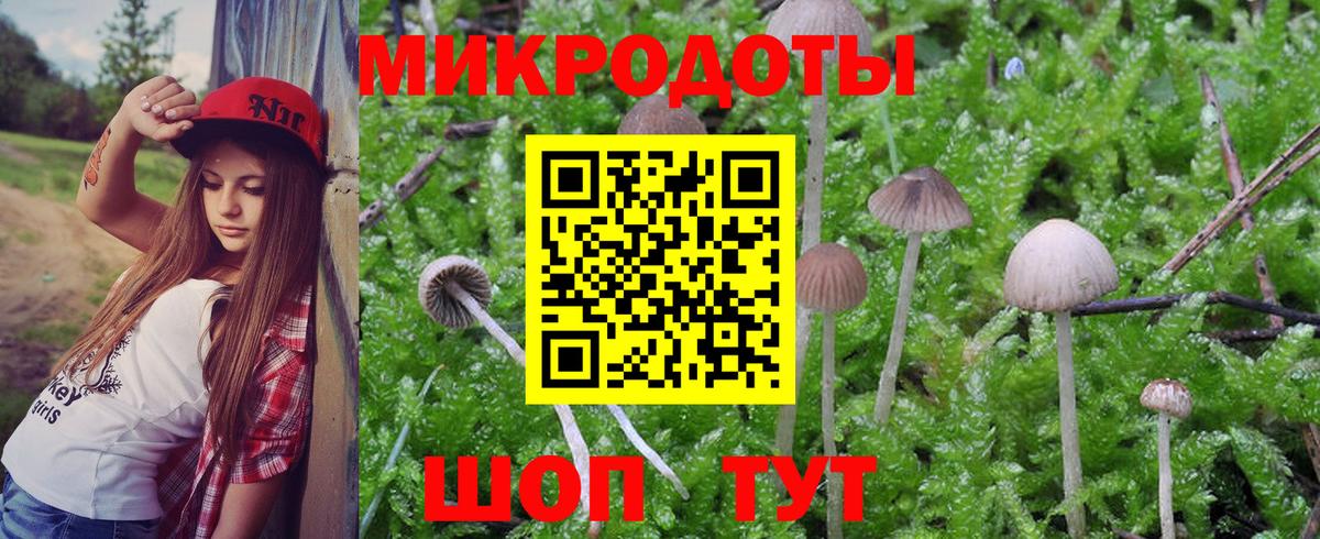 Галлюциногенные грибы ЛСД Клинцы