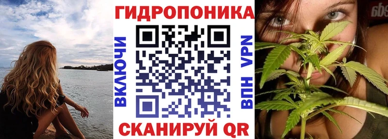 Шишки марихуана Ganja Клинцы